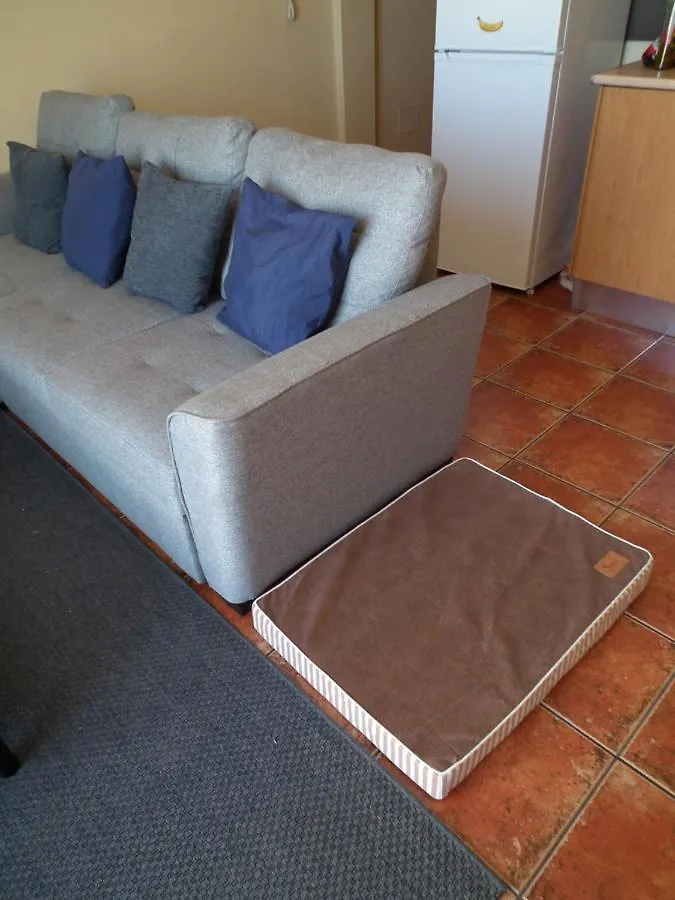 Ferienwohnung Frodo Haus Tazacorte 0*,