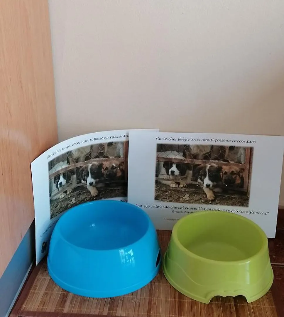 Ferienwohnung Frodo Haus Tazacorte