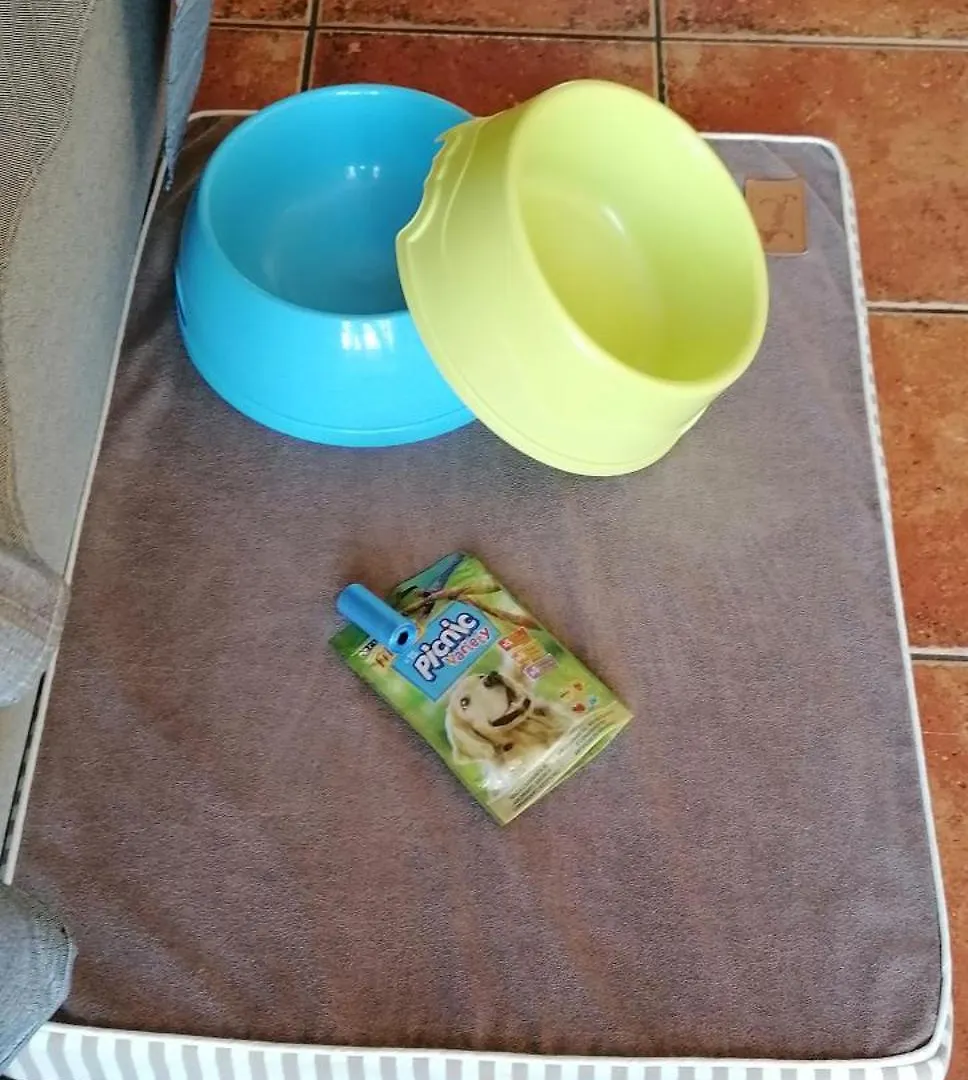 Ferienwohnung Frodo Haus Tazacorte Spanien